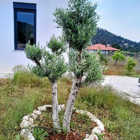 Antalya Kemeragzi