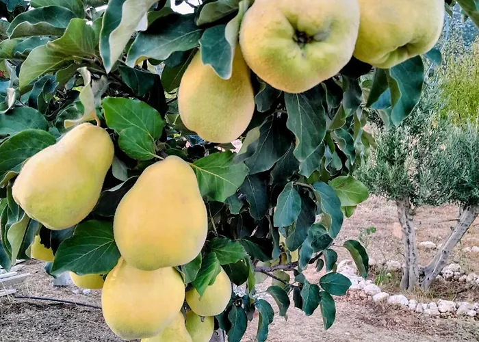 Antalya *