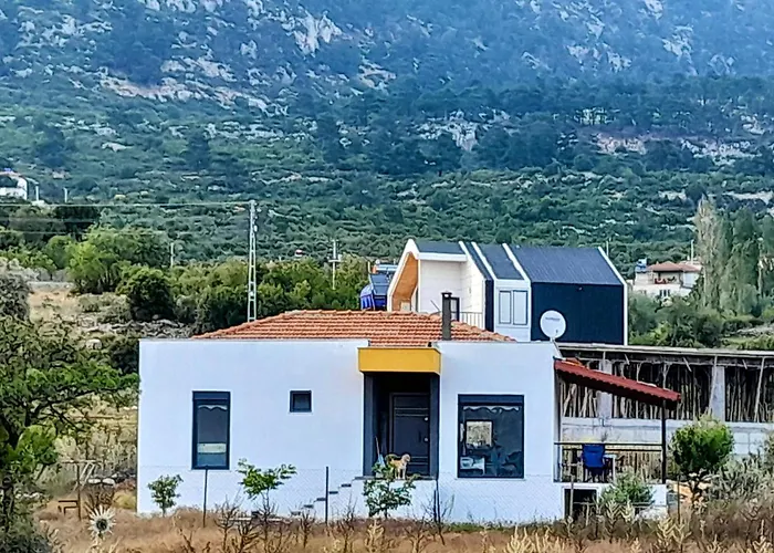 Antalya 别墅