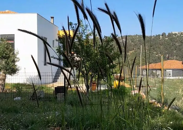 Antalya 别墅